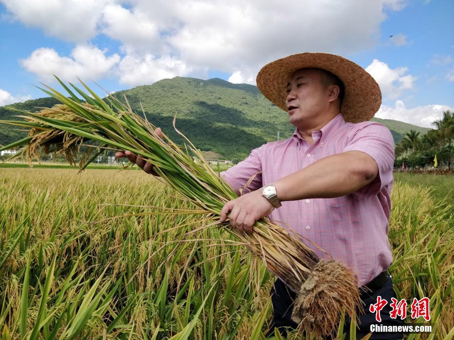 【券商聚焦】国证国际：大模型产业链投资仍有可观投资回报