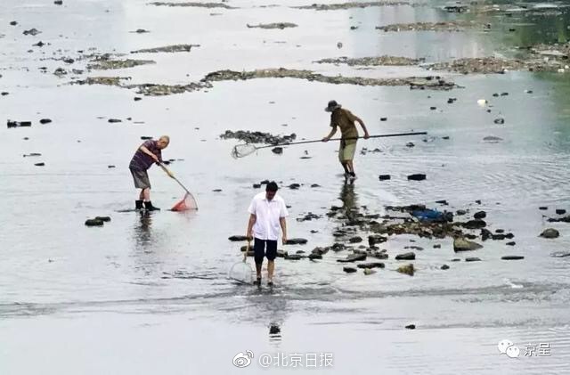 国资赋能转型 三特索道开辟生态文旅新路径