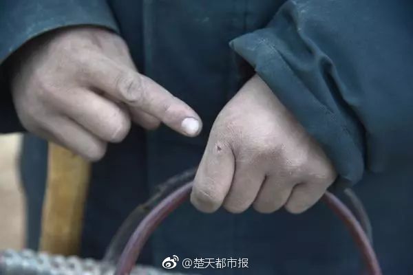 王菲俩女儿罕见同框