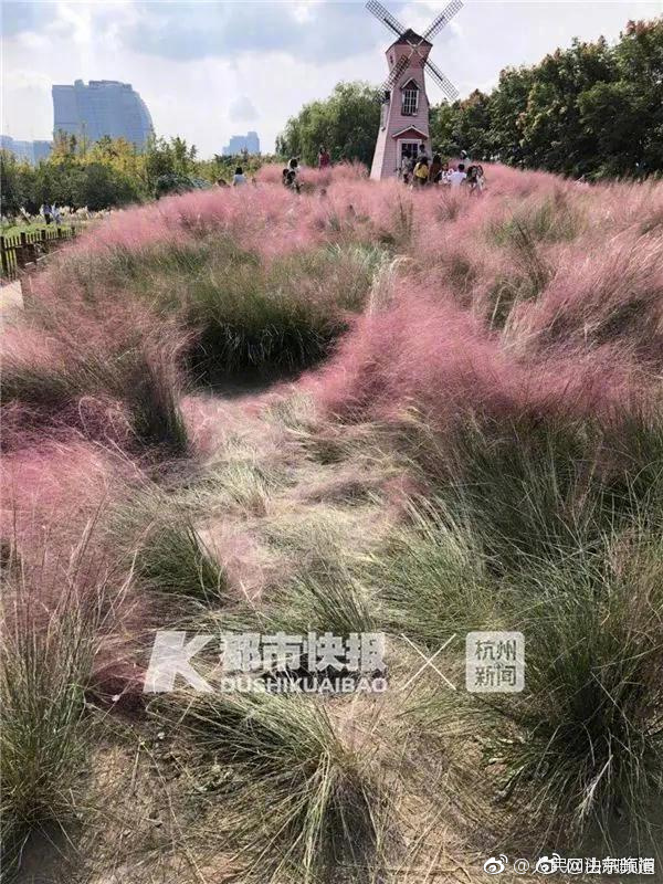 美联储维持利率不变；分析师称下次利率动作可能是加息