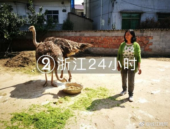 大抓工业 大兴产业 | 大型储能项目落户高平