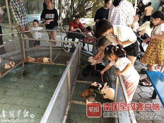 男子边走边接电话被地锁绊倒致骨折，起诉5家使用商户索赔24万元，法院判了