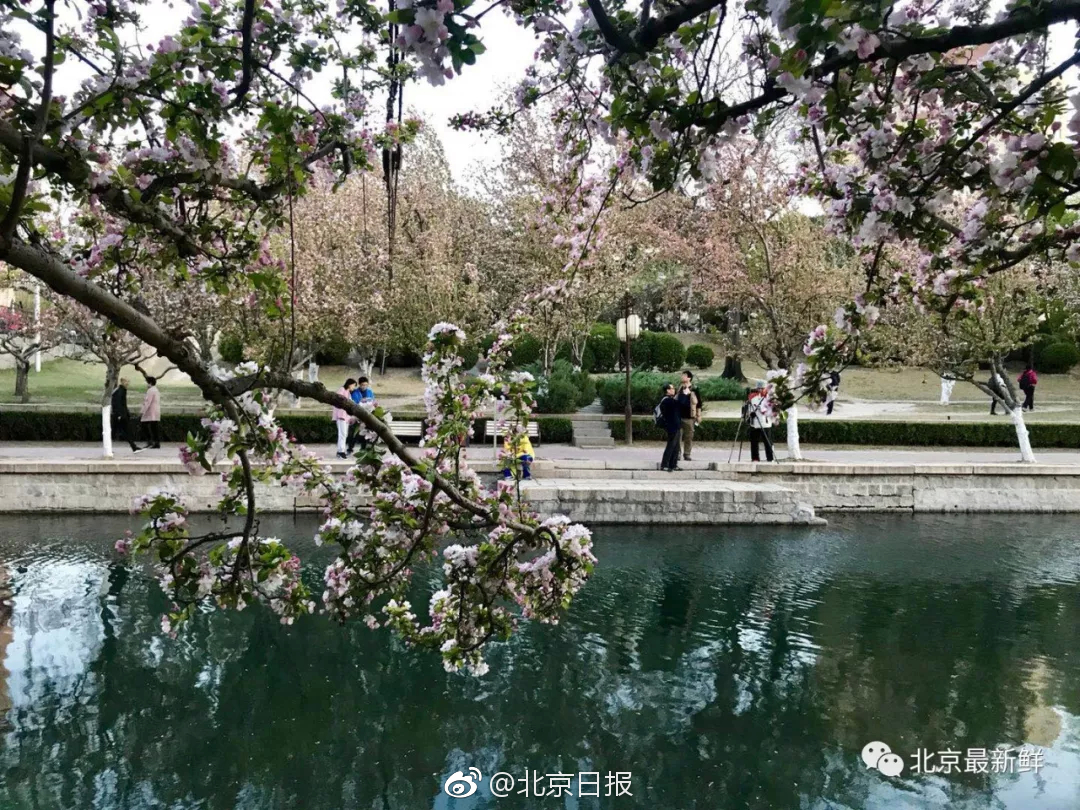 作为中国人，很庆幸最后一个朝代是清朝