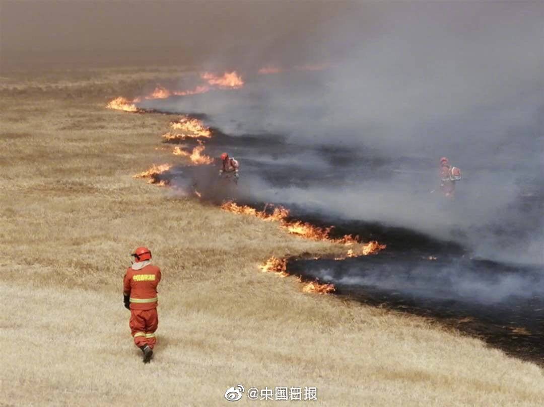 稻妻月夜中旅行者与甘雨在海边偶遇的场景