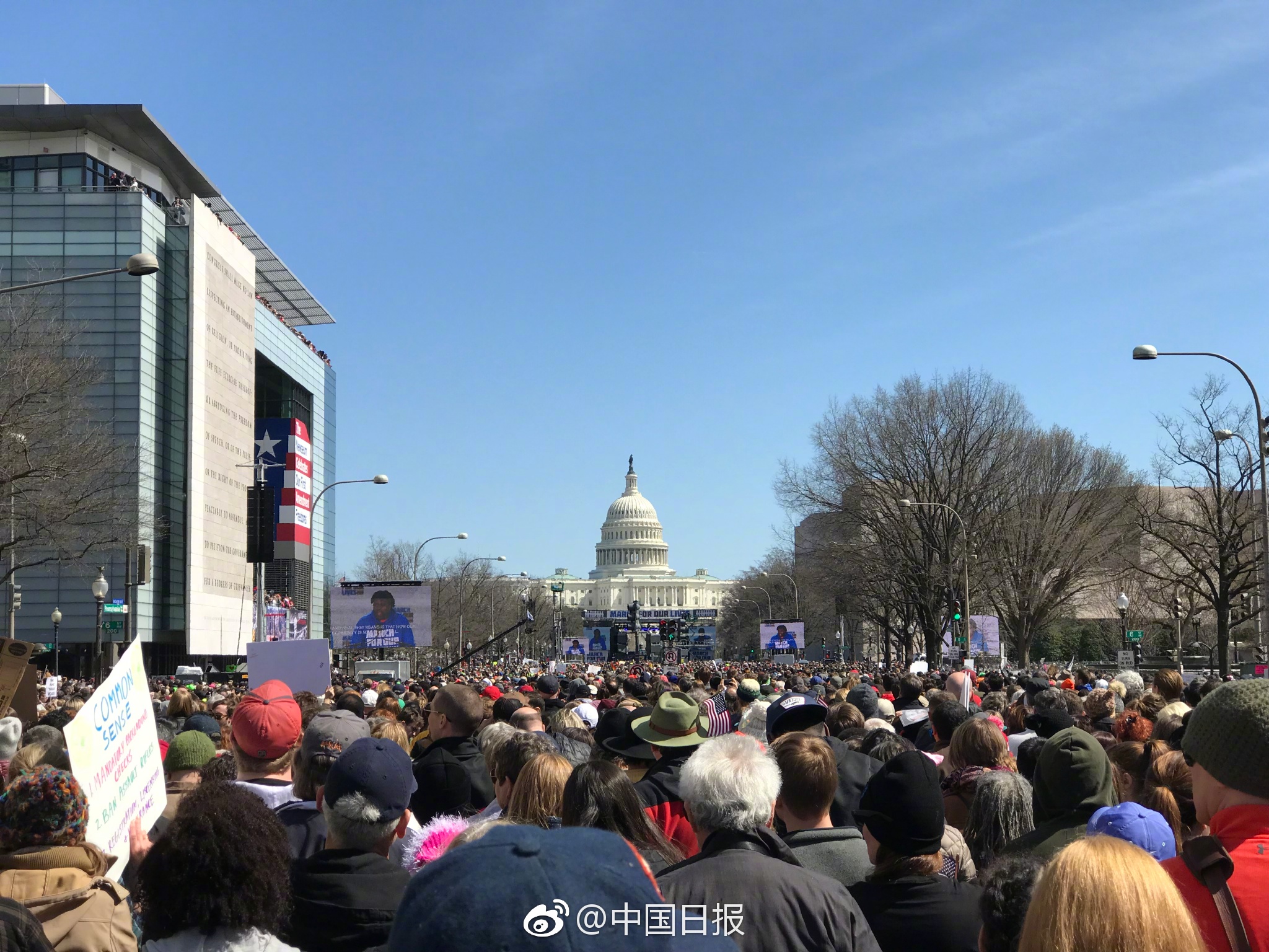 长期租赁的森林将变成公益林或保护区？记者调查