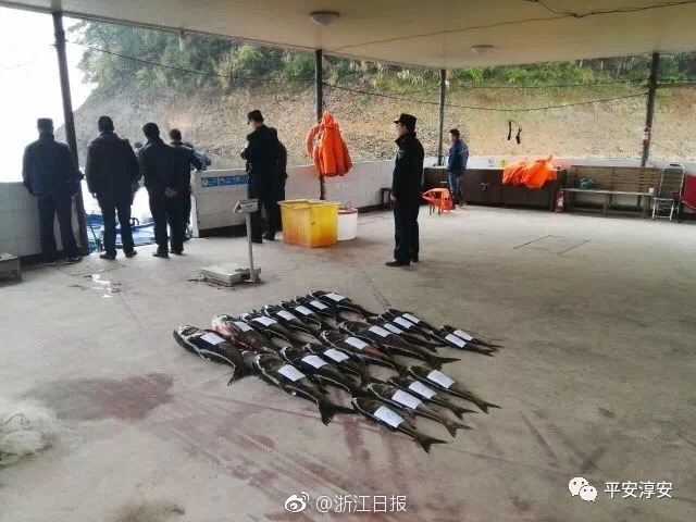 一礼拜发一次实盘