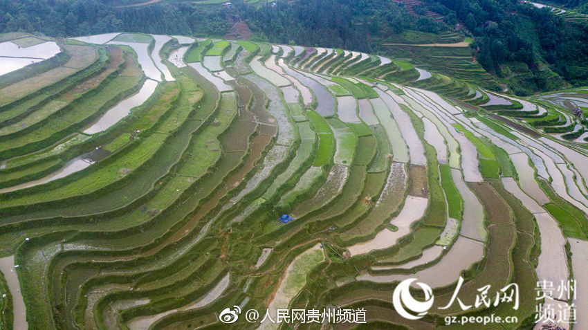 今年市场监管重点打击平台经济垄断行为
