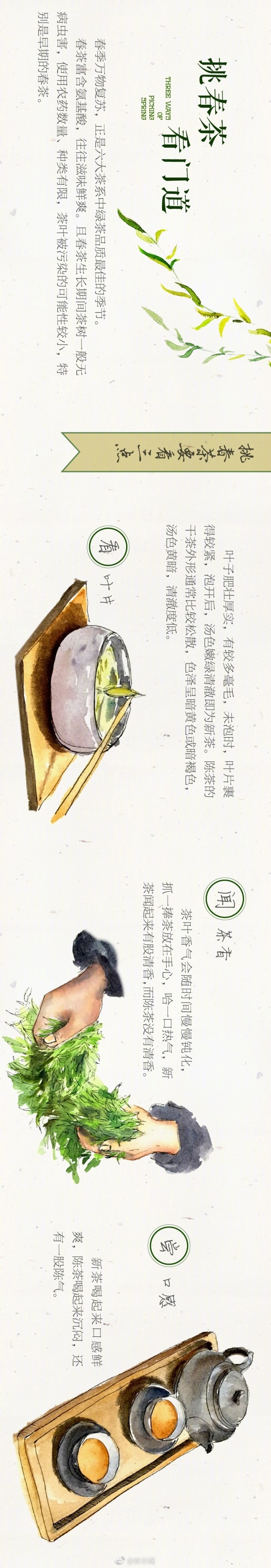 莎头被问对阵夫妻档反应呆萌