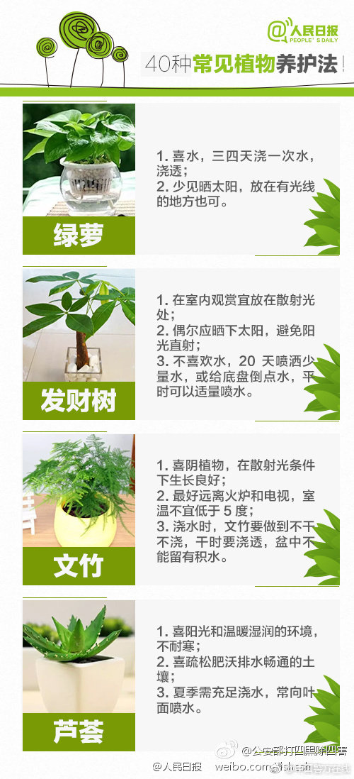 桃黑黑被指搭腔未劝阻