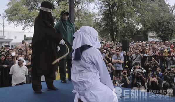 中船集团在进博会上集中签约35个国际采购项目