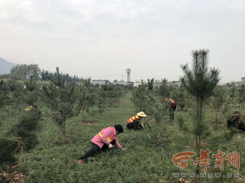 湖北舰完成全训考核