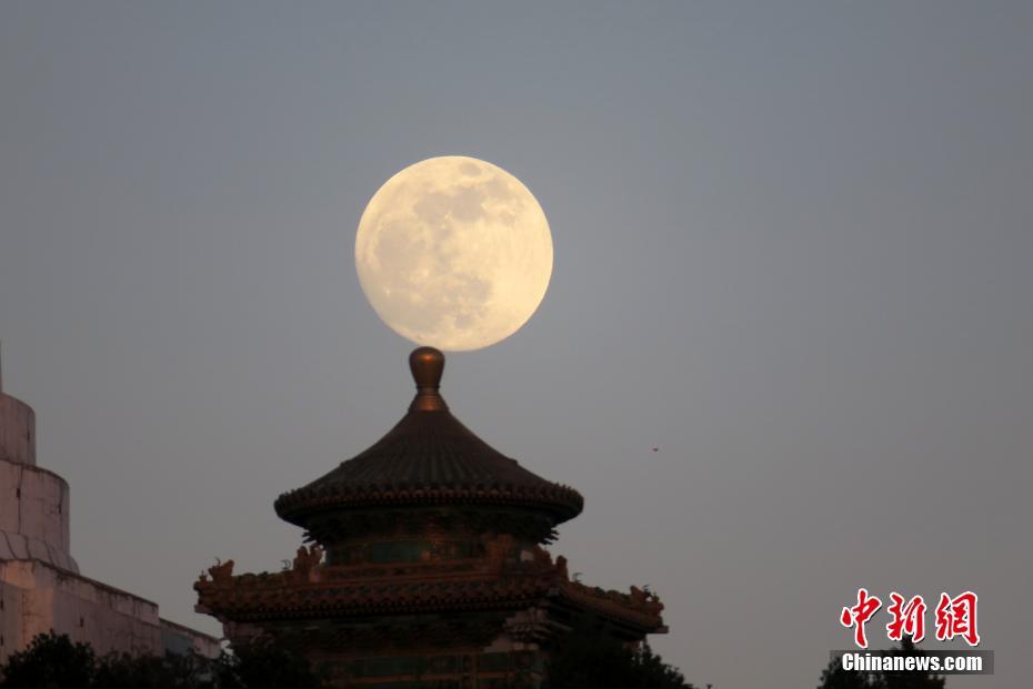 小学教师减少13.19万