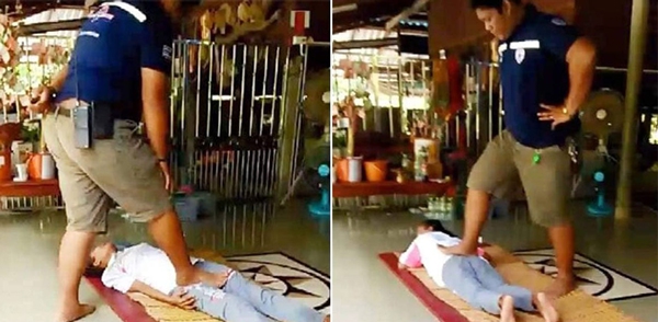 百花杀剧组把小猫养成大猫了