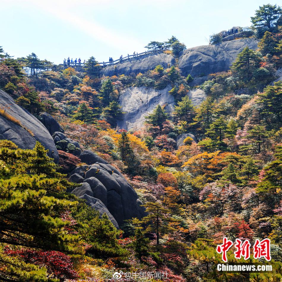 悲催历史人物志——梵高