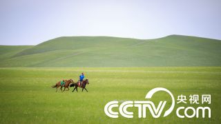 家长在手机上查看官方通报并准备举报信息的场景