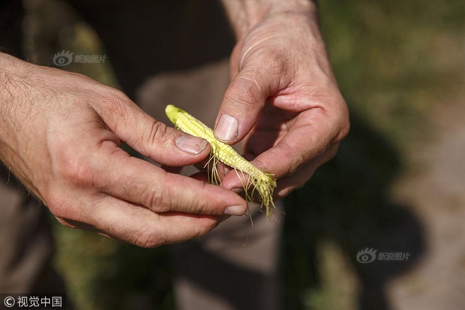 马斯克的芯片梦靠谁来落地