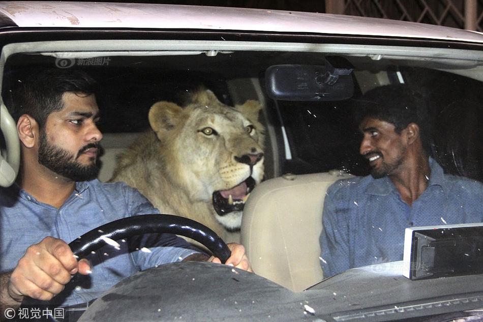 白云山遭小摩减持约11.75万股 每股作价约18.96港元