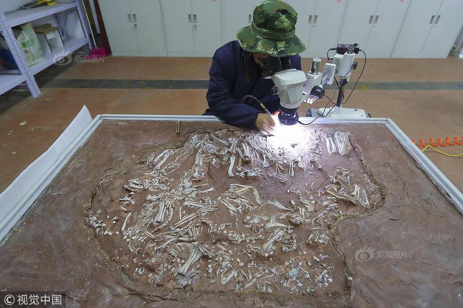 信义能源发布中期业绩 权益持有人应占溢利4.5亿元同比增加23.43%