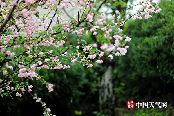 高中生为抽盲盒一个月偷6次，利用潮玩交易app迅速转手