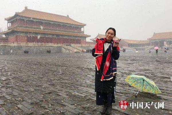 人工智能抢饭碗：哪些职位风险最大，哪些依然安全？