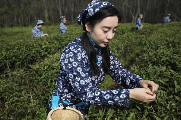 委内瑞拉强震已致235人死亡