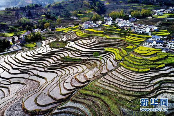 松鼠ai“锁机”风波：大量用户遭封号，加盟模式渠道混乱