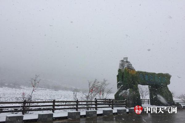 各大美妆巨头全力押注长寿护肤赛道，我的实地体验全记录