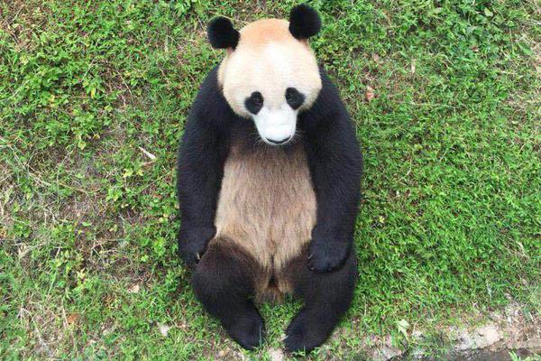 登陆新三板仅1个月，光芯片“小巨人”云岭光电拟转板北交所