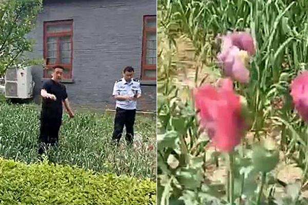 要求新生填家长职务