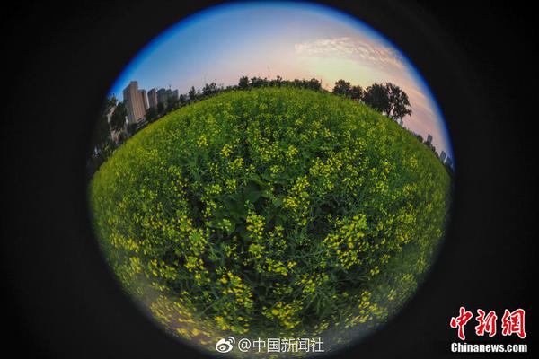 力高集团2025年中期收益9.89亿元 亏损7.1亿元