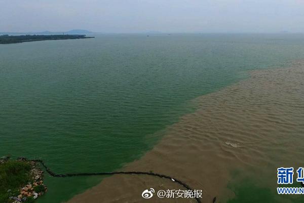 聚合顺最新股东户数环比下降5.73% 筹码趋向集中