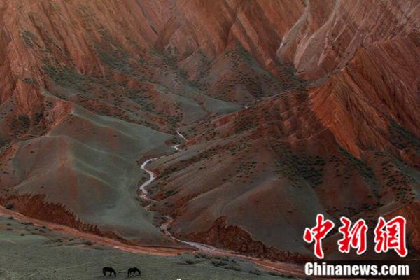财经聚焦｜5月物价数据释放哪些信息