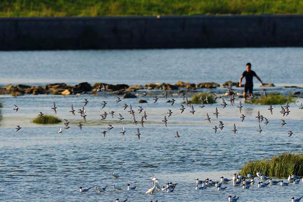 百诚医药跌6.37% 2021年上市即巅峰超募12亿