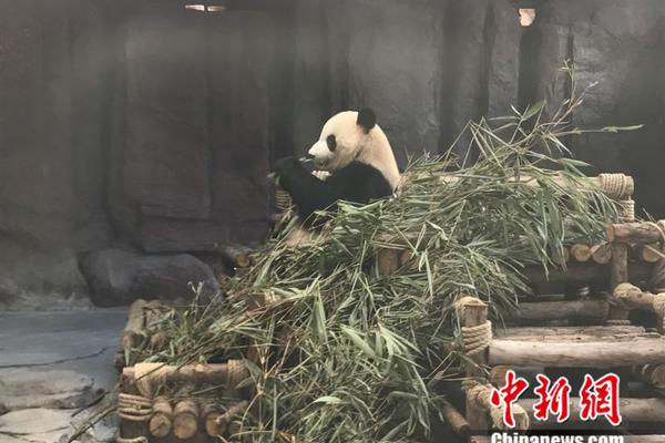 白宫：下个月可能有史以来首次无法发布通胀数据