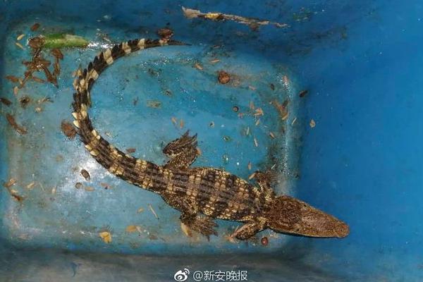 多只科技牛股 下周将有限售股解禁