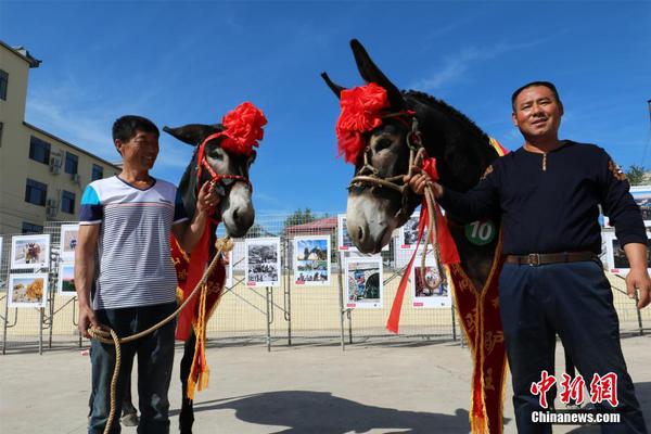 科网大厂中报拉开帷幕，腾讯“打头阵”，港股下半场机会来了