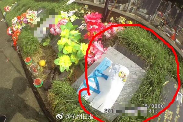 太空光伏新突破！仁烁光能联合南大成功研制26.2%效率大面积全钙钛矿叠层组件