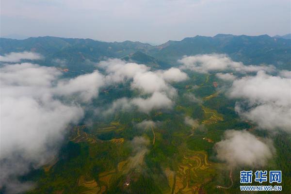 电脑屏幕上的网络信息辨识场景
