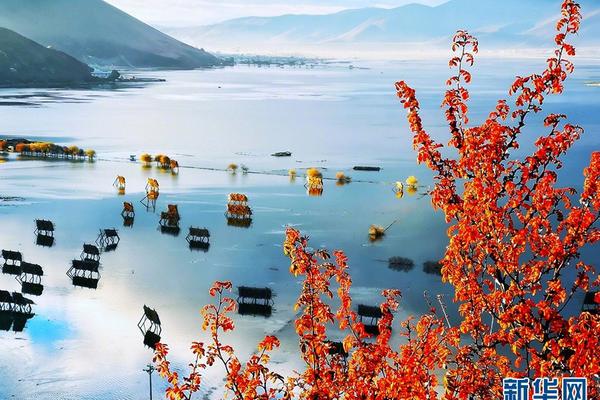 星徽股份（300464）股东谢晓华质押1420万股，占总股本3.1%