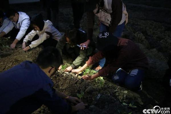 李大霄：牛市最重要的是情绪稳定