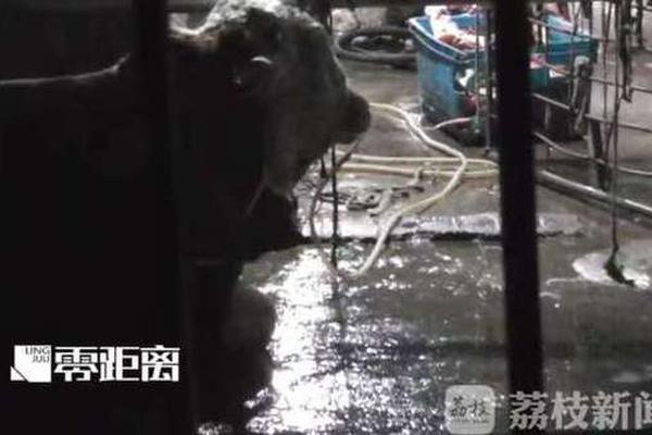 工伤认定新规明确“模糊地带”判断依据——为参保职工筑牢权益保障网