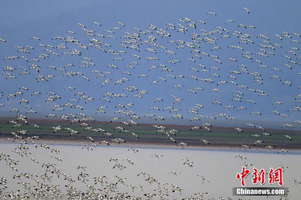 央视披露:外机深夜成体系逼近中国