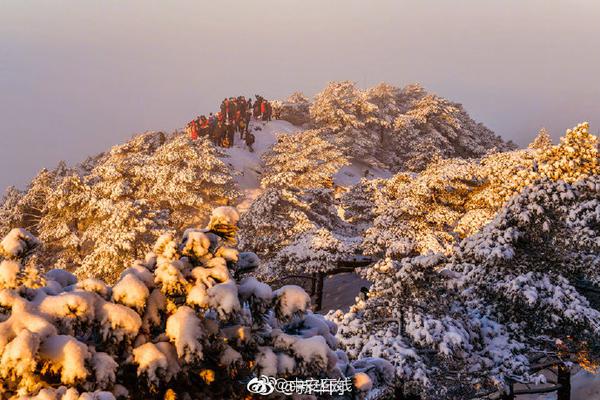 韩红基金会发声明回应质疑