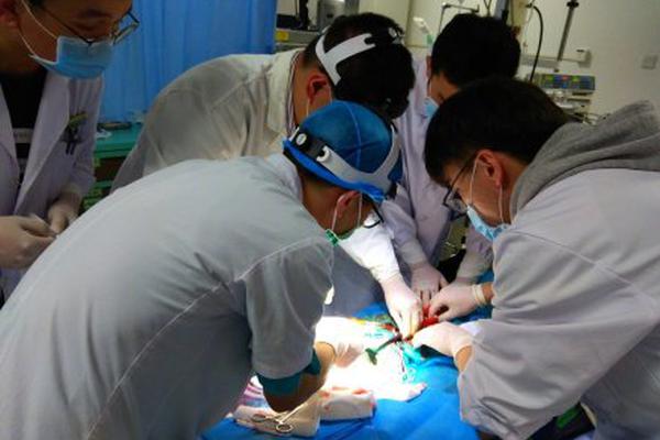西陇科学（002584）投资者诉讼终审落定，受损股民可索赔