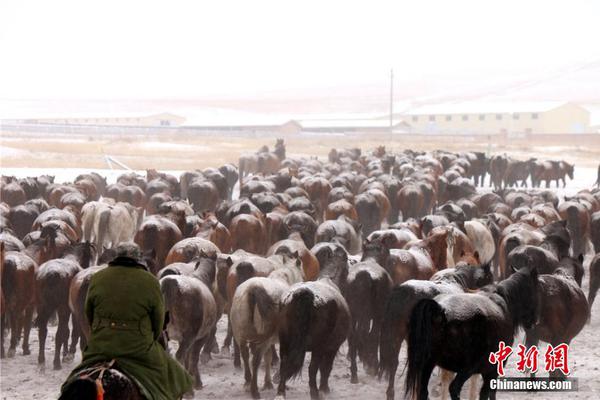 周报：黄金高位下跌 未来数月回调幅度或达20%-40%？