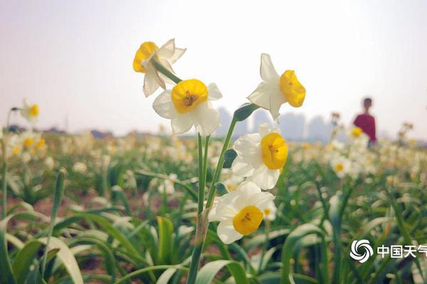 特变电工sst电力方舱商用落地，重塑aidc供电基建格局