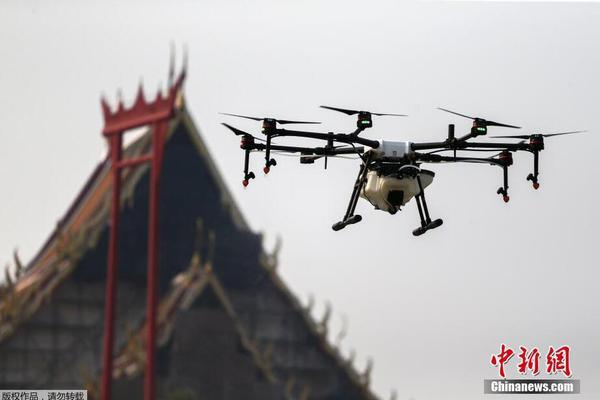 具有东方美学特色的国产品牌ag九游会官网的产品展示