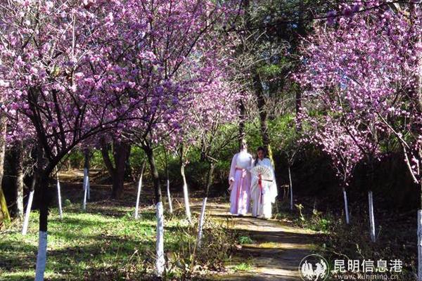 申万宏源陈达飞：双重k型经济的“张力”