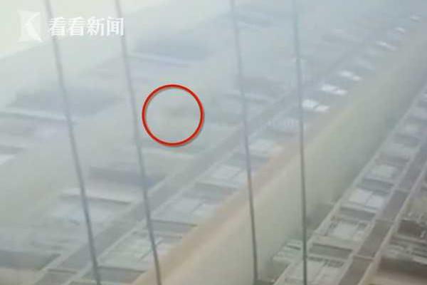 用户在电脑上比较正规视频平台