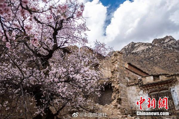 龙虎榜 | 四方达今日“20cm”涨停，3家机构专用席位净买入1.13亿元